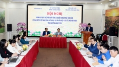 海防、义安、安江：有效开展民间外交工作