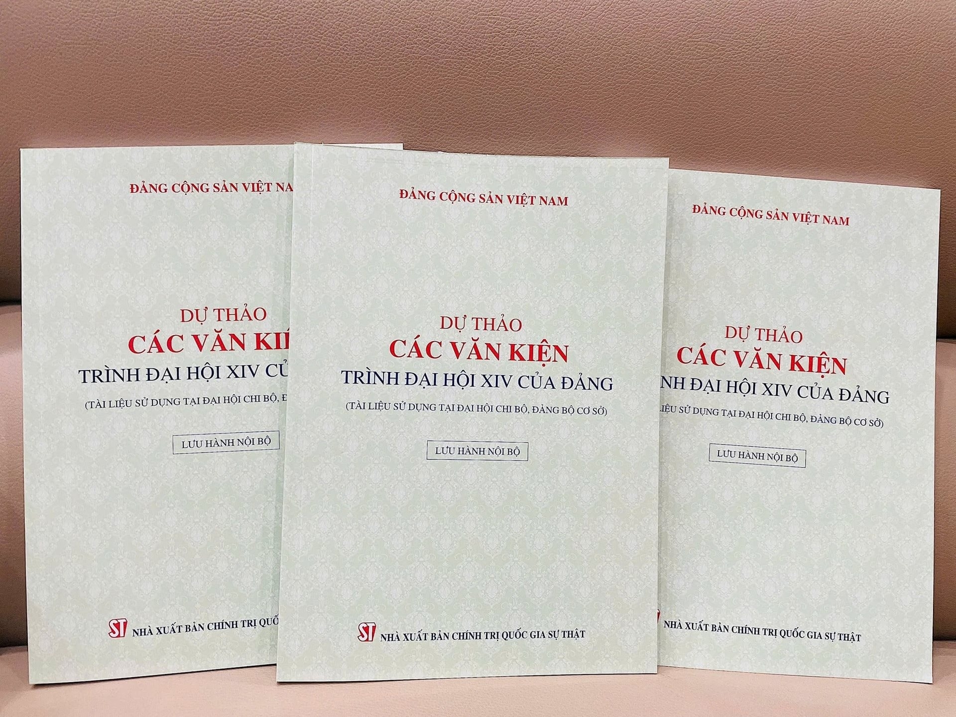服务于各党支部、基层党部（乡、坊、市镇及同级）代表大会党员讨论和贡献意见的资料。——图片：《海防报》