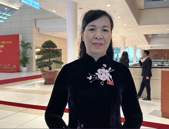 北宁省党部代表团代表、越南祖国阵线北宁省委员会主席阮氏哈代表。（图片：记者）