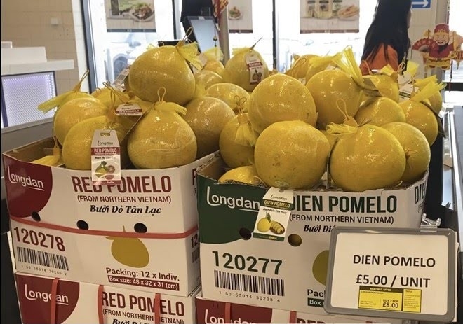 和平安水柚子9日在伦敦的伦丹集团连锁超市首次上市。图自越通社