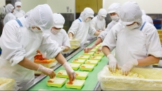 越南与印度在农产品和加工食品领域的合作商机
