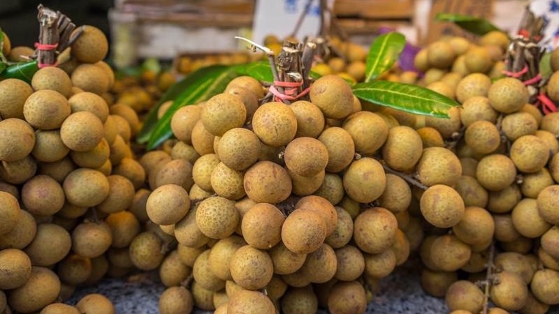 越南龙眼——2023年出口增幅排名第二的水果