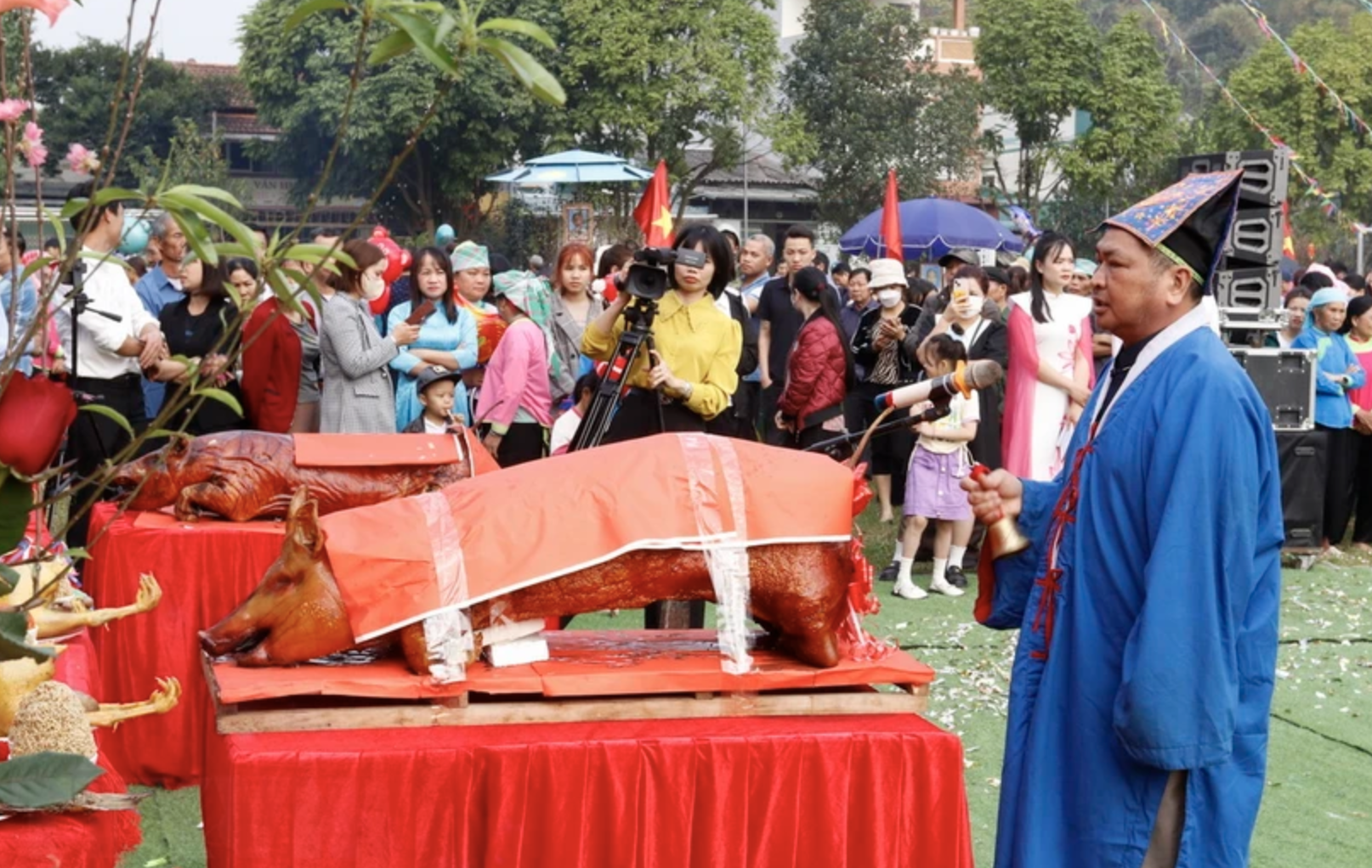 老街省巴杀县光金乡的籍田节热闹举行，吸引众多当地居民和四面八方游客前来参加。