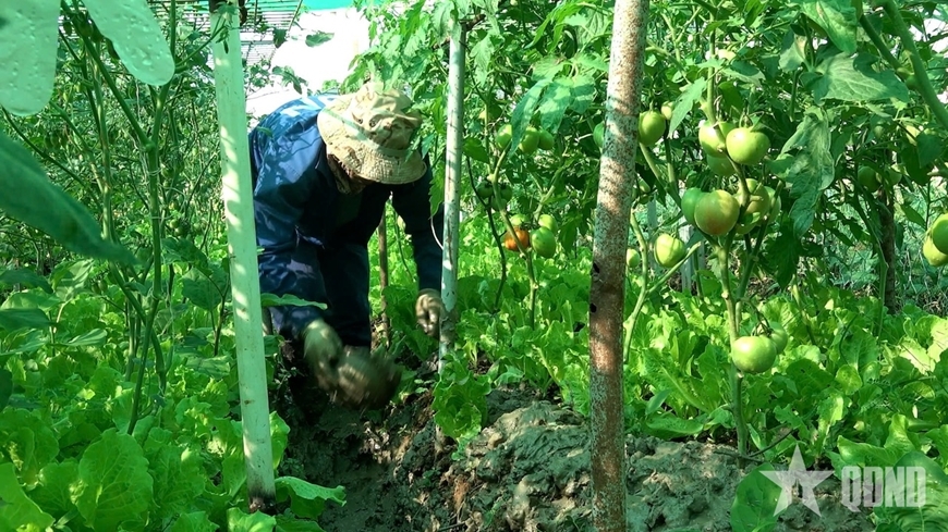 部队采用轮耕的方式增加土壤的肥力