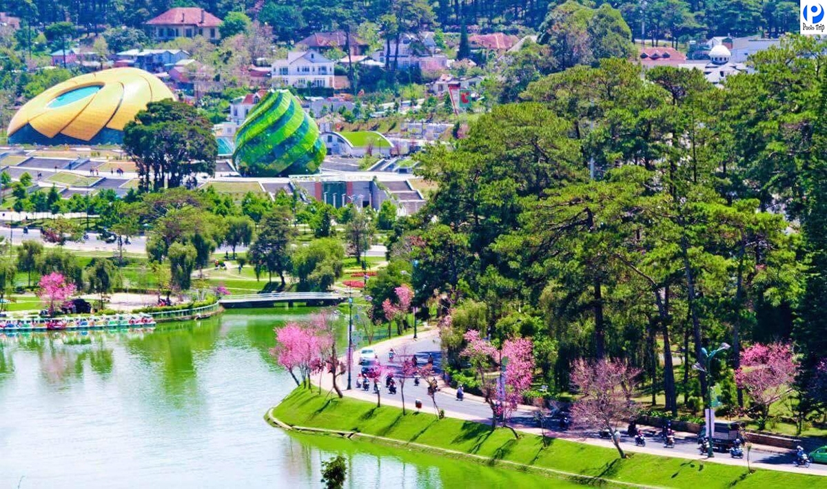 15个迎接2026丙午新春的越南国内旅游胜地