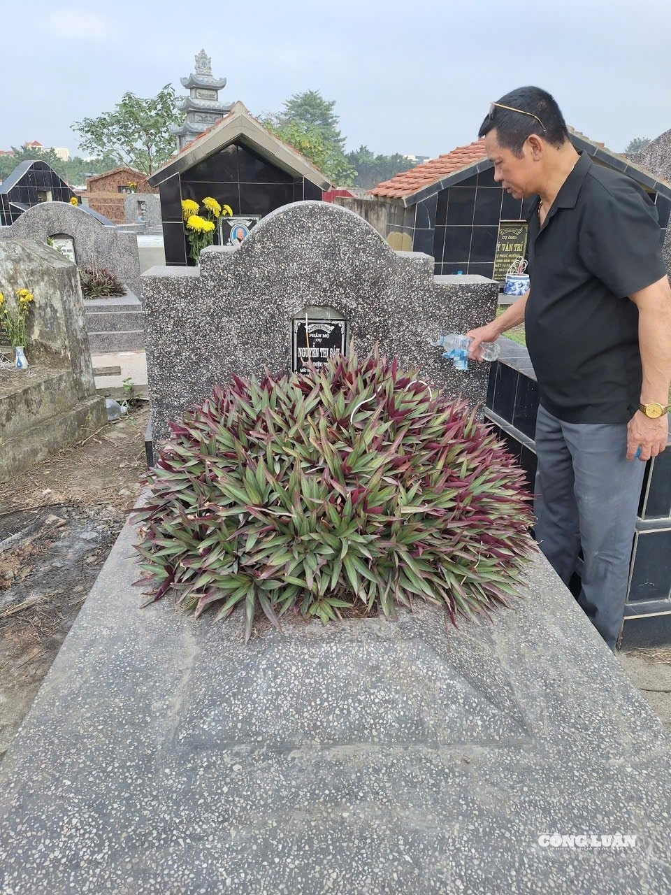 请祖先回家过年