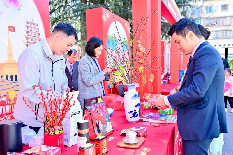 在中国云南推广越南传统春节文化 在中国云南推广越南传统春节文化