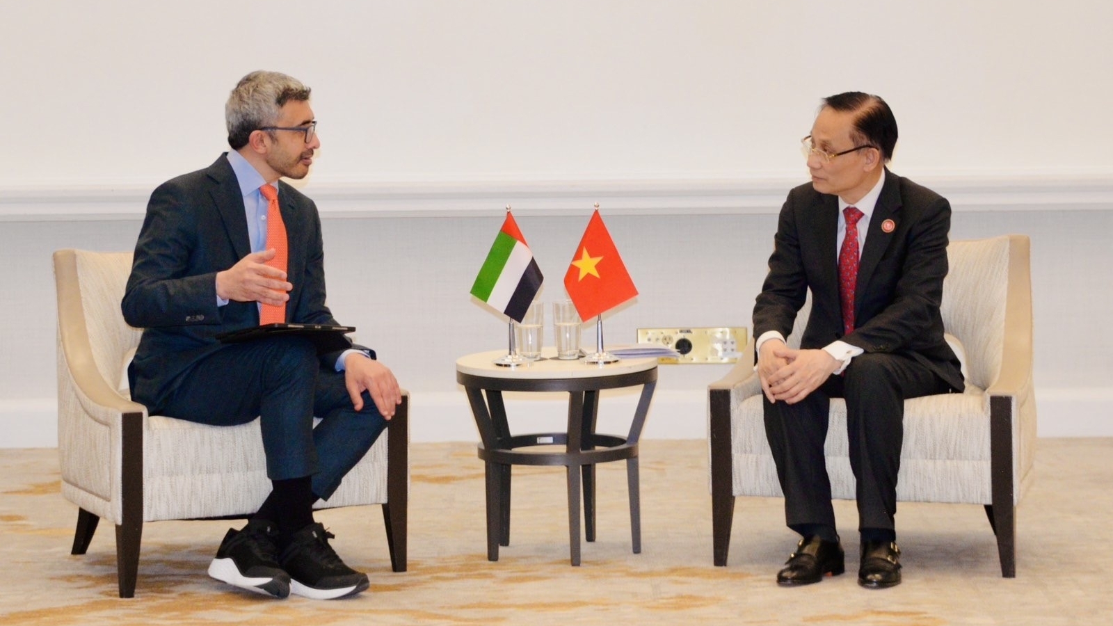 越南在和平理事会框架下配合各国重建加沙地带