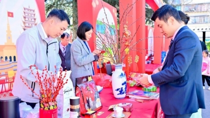 在中国云南推广越南传统春节文化