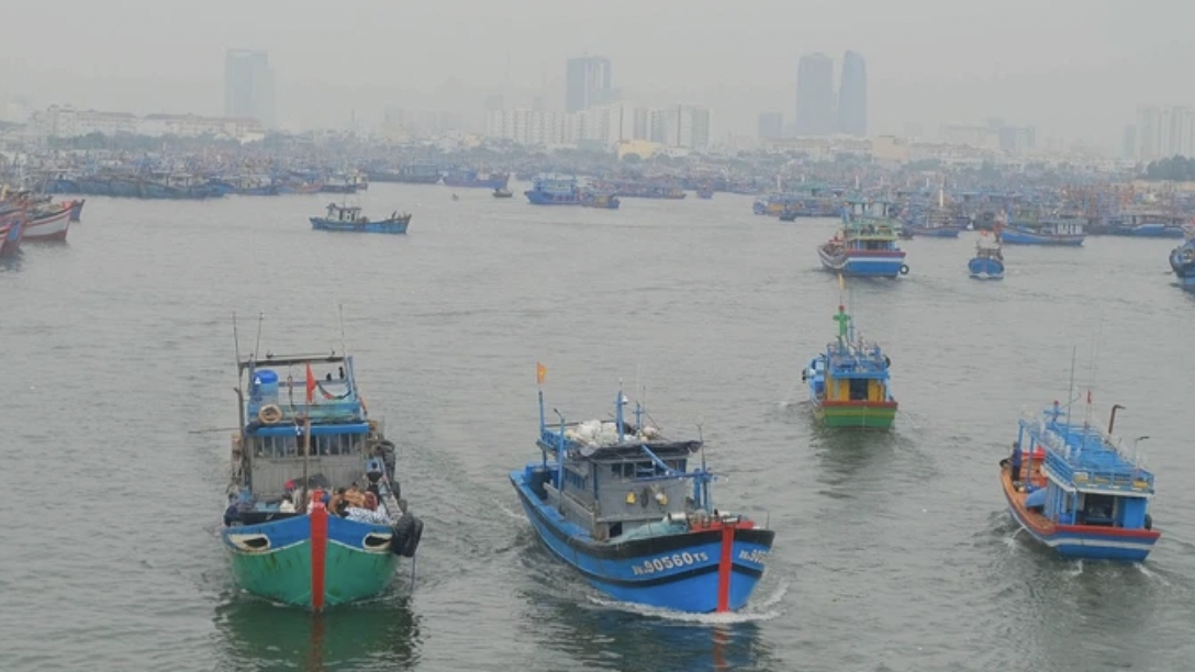 严管船队，打击IUU捕捞