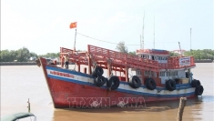 金瓯省决心与全国一道解除IUU黄牌