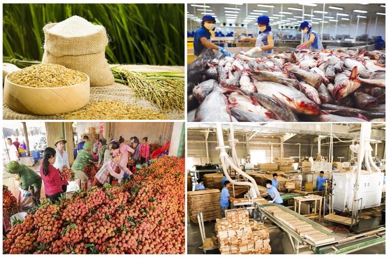 越南总理范明正建议法国为越南出口商品创造有利条件。