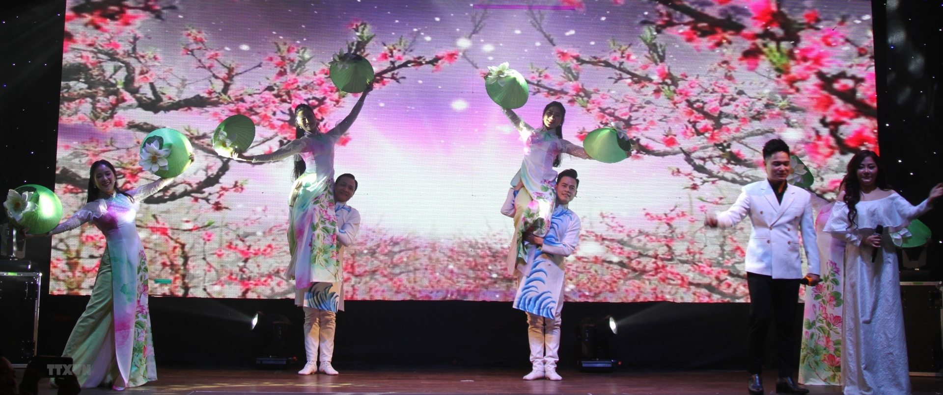 “家乡之歌”文艺晚会为旅居捷克越南人献上充满民族特色的文艺盛会。 图自越通社