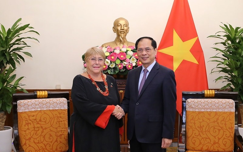 越南外交部长裴青山会见智利前总统米歇尔·巴切莱特。