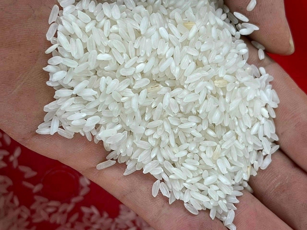 欧盟对越南提供的大米配额（8万吨），实际出口量达94510吨。