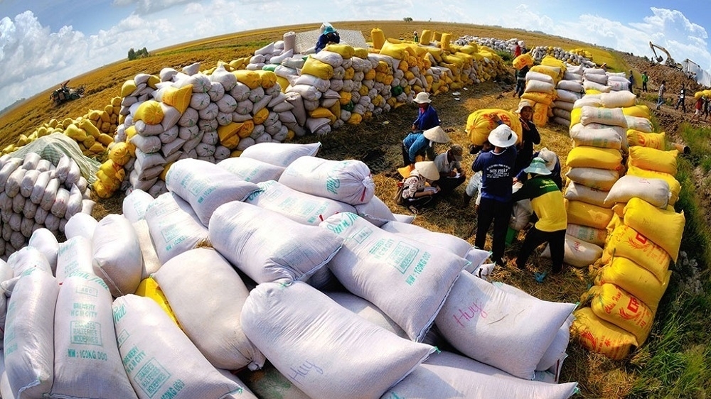 越南大米翻身 出口价格多次创世界最高水平