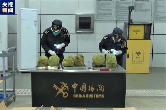 中国海关检查越南榴莲。图自央视新闻