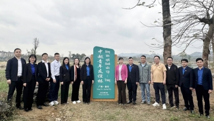 植树育友谊，共筑越中深厚情谊