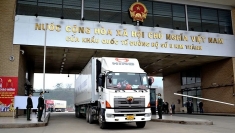 连接越南和中国的有机产品贸易