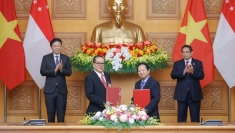 越新合作促进越新两国人民交流的新里程碑