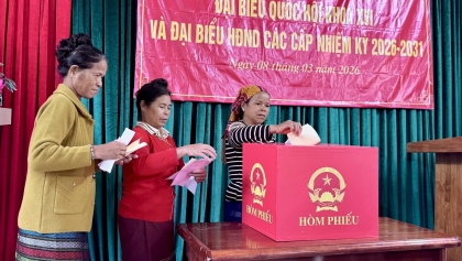 古巴驻越南大使：越南选举筹备工作开展周密