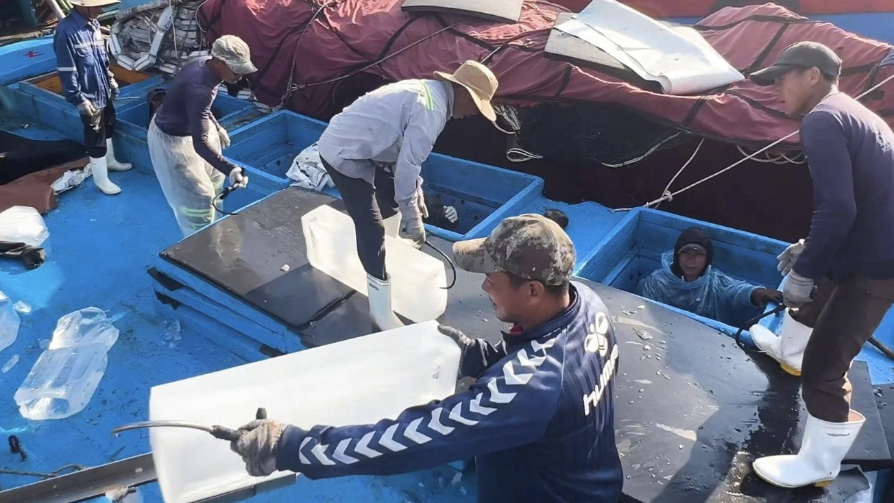 负责任地捕捞海产