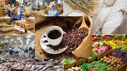 智慧口岸——助力越南农产品扩大在华市场份额的新‘杠杆’