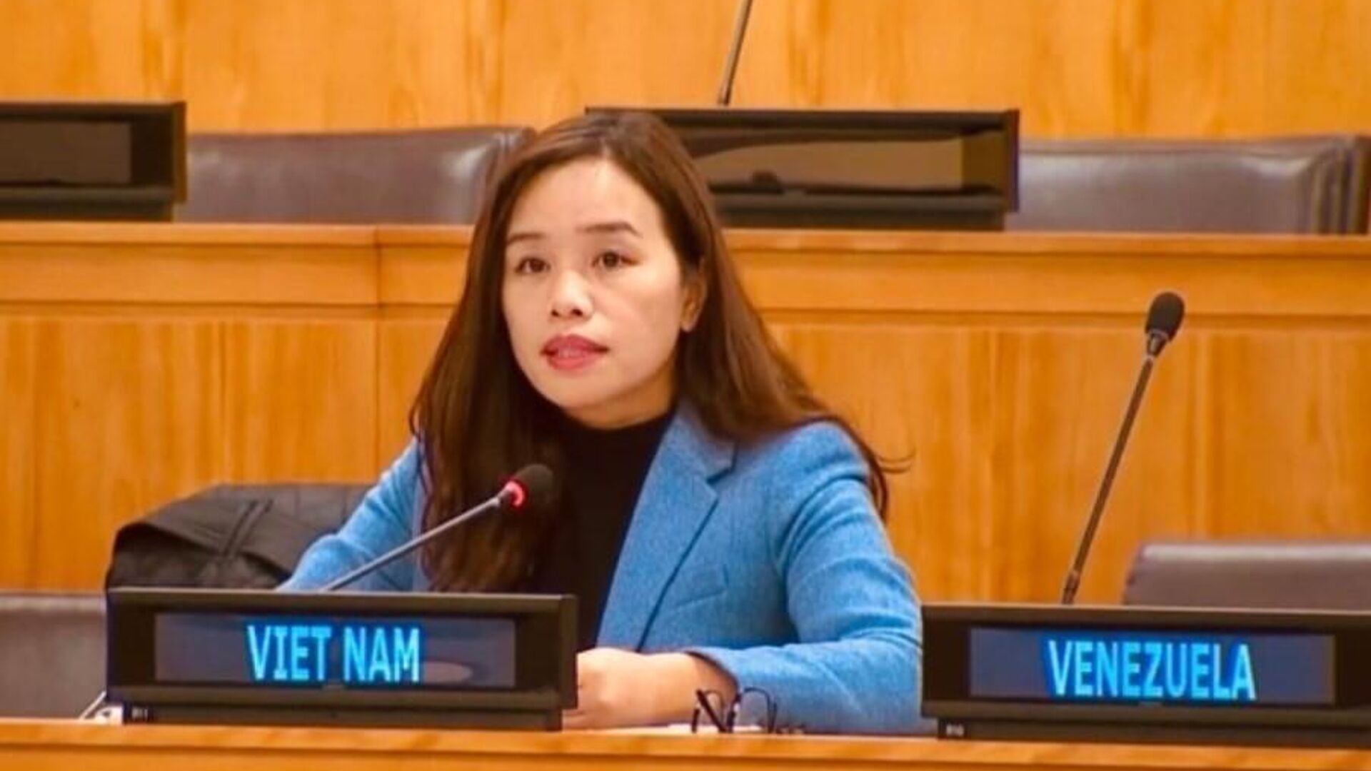 越南呼吁各国全面执行《不扩散核武器条约》
