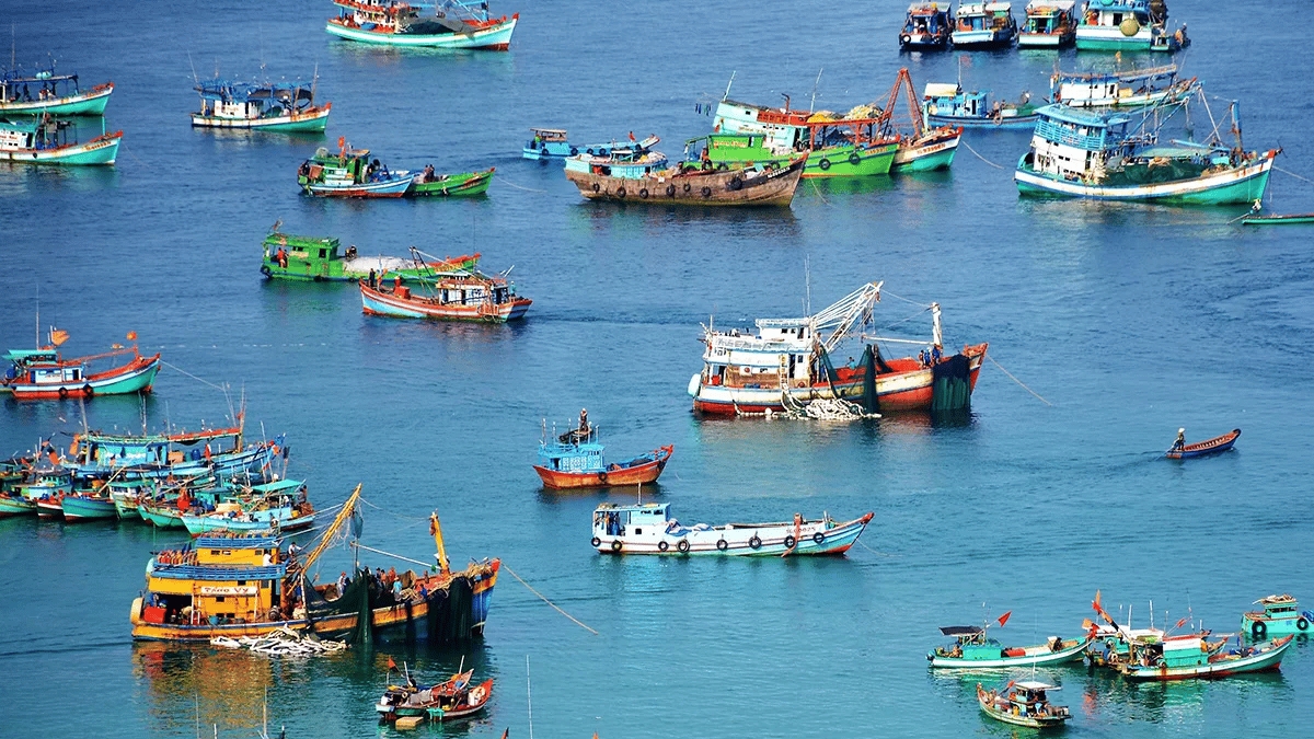 越南努力促进农产品生产和销售、打击打击非法捕捞