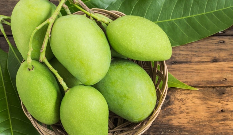越南是韩国第三大芒果供应市场，但从越南进口的芒果仅占韩国芒果进口总量的5.8%。