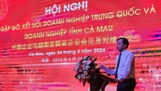 推动金瓯省与中国之间经济合作关系发展
