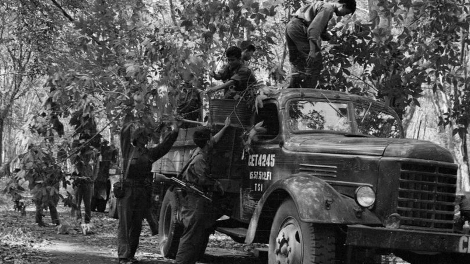 统一国家50周年：从越南民族解放斗争吸取的宝贵经验教训