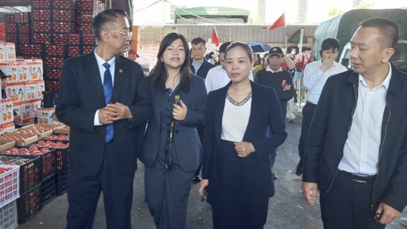 贸易促进：为越南企业进入中国市场创造更多机遇