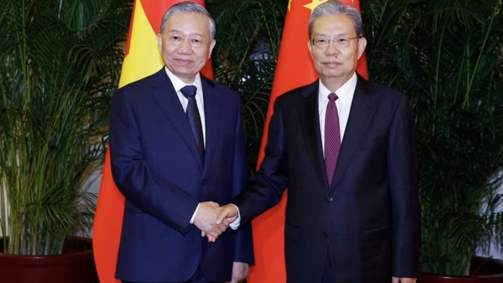 越共中央总书记、国家主席苏林会见中国全国人大常委会委员长赵乐际