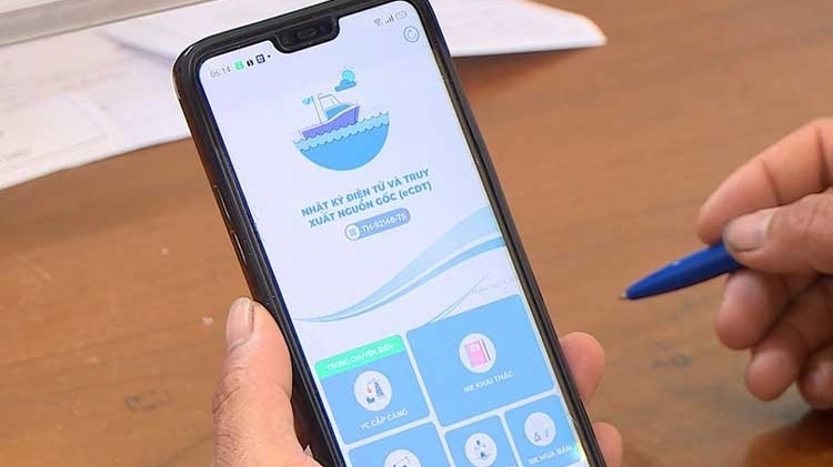 电子捕捞日志：胡志明市渔业现代化的新进展