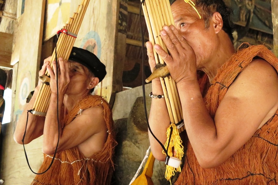 戈都族艺人穿着树皮制成的服饰，在森林感恩节上表演芦笙节目。