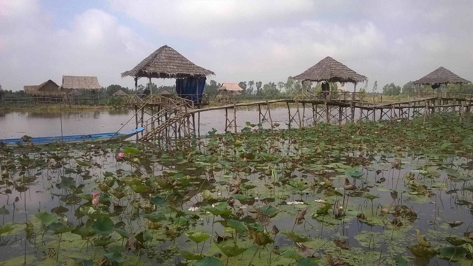 在越南创建可持续的莲丝制品价值链，支持九龙江三角洲蓄洪战略。