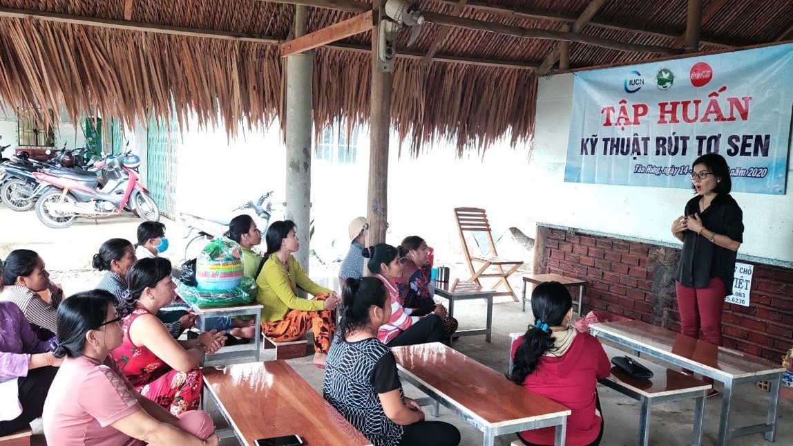 在越南创建可持续的莲丝制品价值链，支持九龙江三角洲蓄洪战略