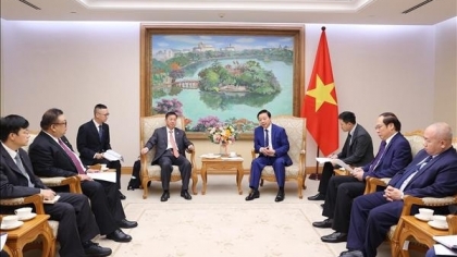 进一步推动越中合作关系深入务实