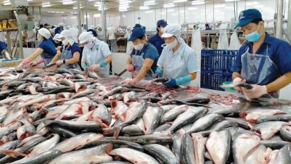 美国、中国、日本继续是越南农林水产品三大出口市场