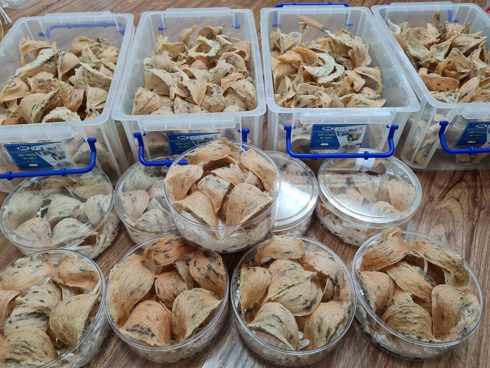 共有13家越南企业获准向中国市场出口燕窝，累计出口精制燕窝超4吨、出口额逾400万美元。