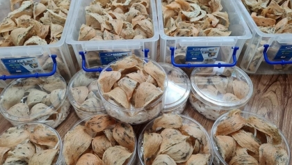 越南燕窝输华迎来更多机遇