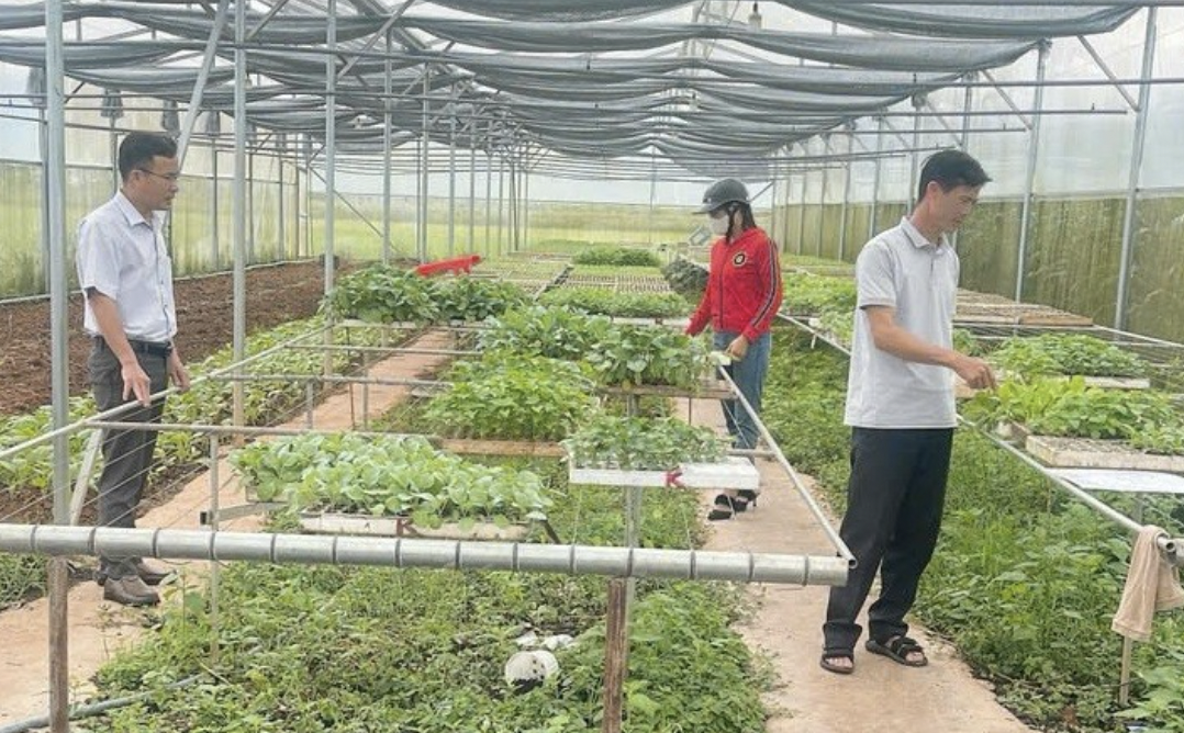 达萨尔乡已有300户农民应用智能自动灌溉技术。