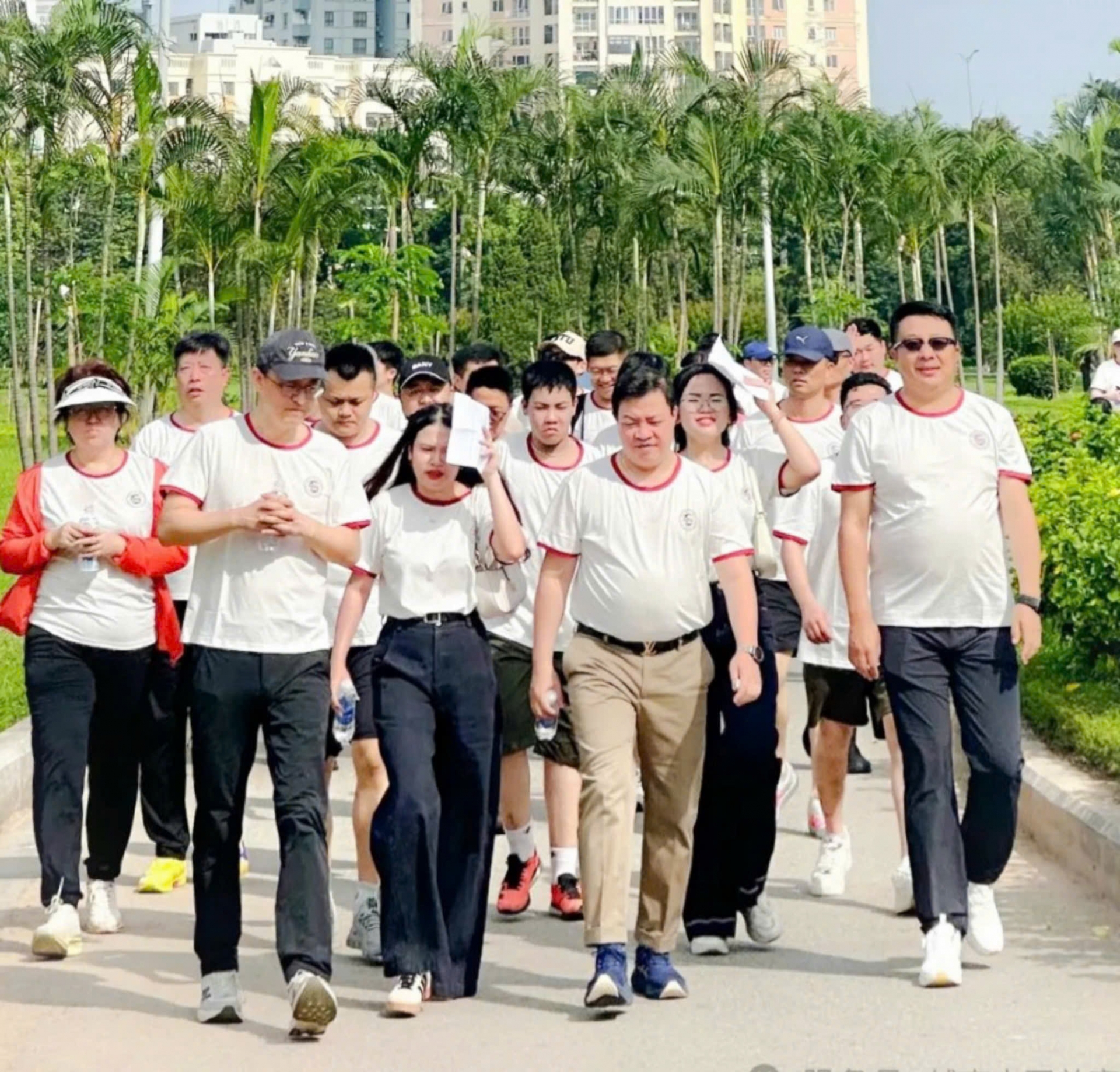 步履不停续友谊：'万马奔腾·共赴新程'健步走活动在河内圆满举行