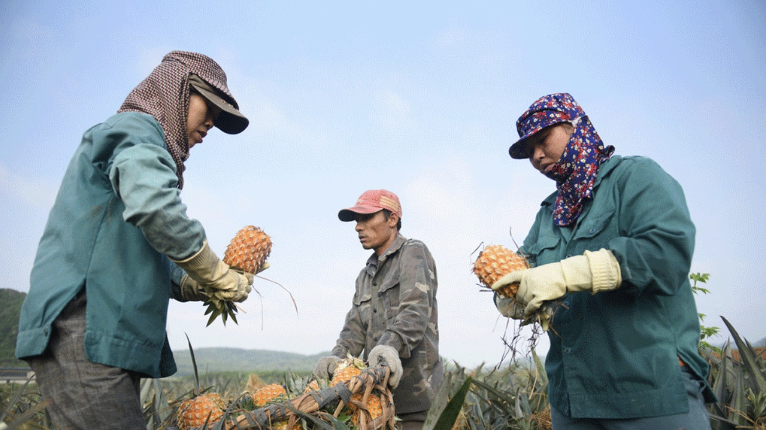 越中探寻合作机遇，为越南农水产品输华创造便利条件