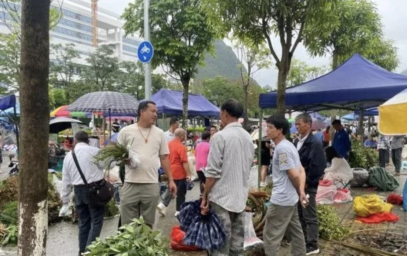 6月10日，广西靖西壮族端午药市“火爆”登场，来自中国及越南的民众涌入药市交易中草药。
