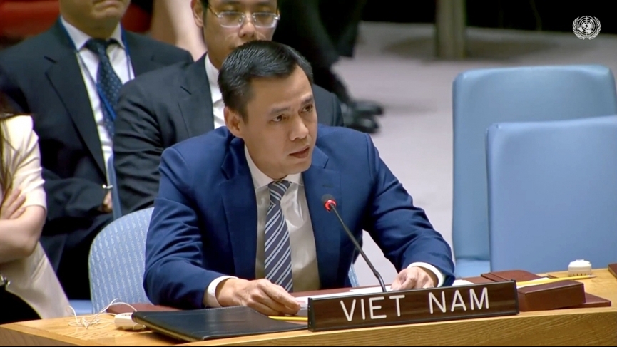 越南支持联合国安理会在应对全球网络安全挑战的作用