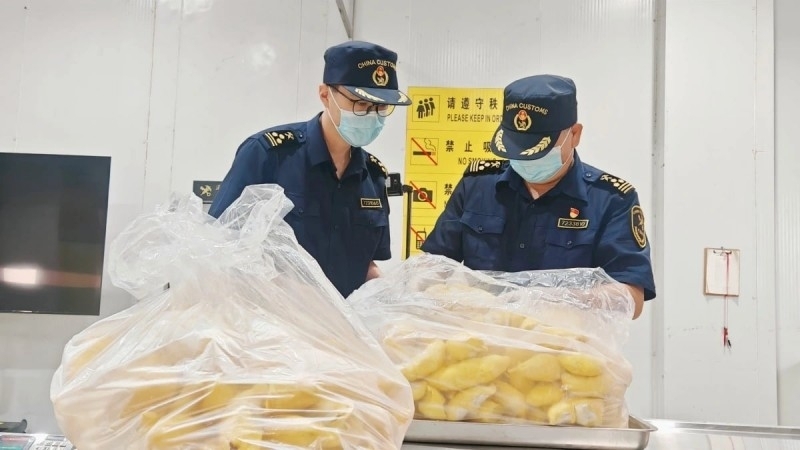 越南首次向中国出口冷冻榴莲