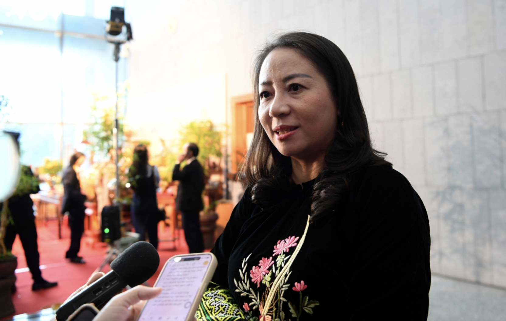 新加坡越南人社区联络委员会主席谢垂莲女士