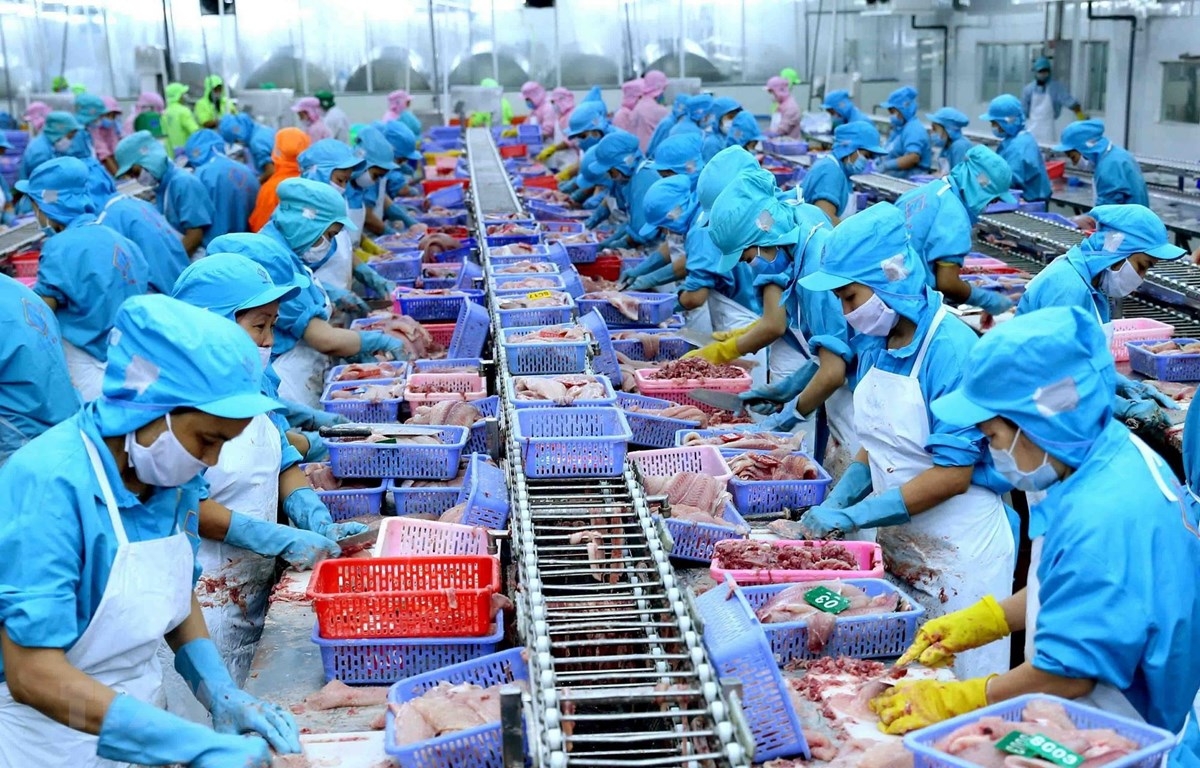 对日本、马来西亚、澳大利亚、中国台湾和菲律宾等市场鱿鱼和章鱼出口仍释放积极信号，增长了15%至75%。